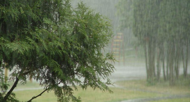 Синоптики: жара усилится, возможны грозовые дожди