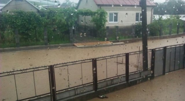 Закарпатье под водой: из-за проливных дождей затопило населенные пункты