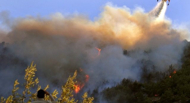 Лесной пожар на Кипре выходит из-под контроля