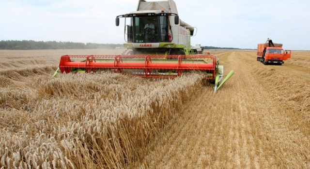 Производители зерна в Украине установили очередной рекорд