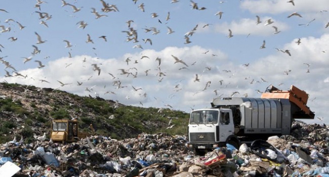 Корейцы построят возле Одессы мусороперерабатывающий завод