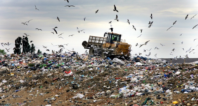Киевляне требуют запретить ввоз львовского мусора