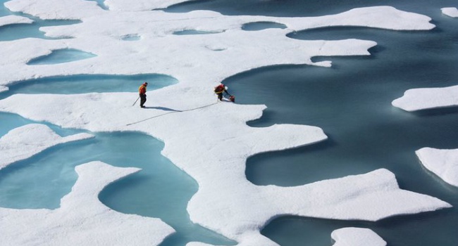 В Арктике стремительно тает лед