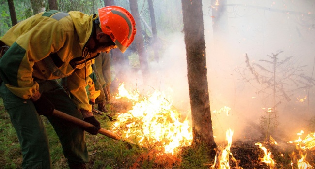 ГСЧС: в Украине самый высокий уровень пожарной опасности