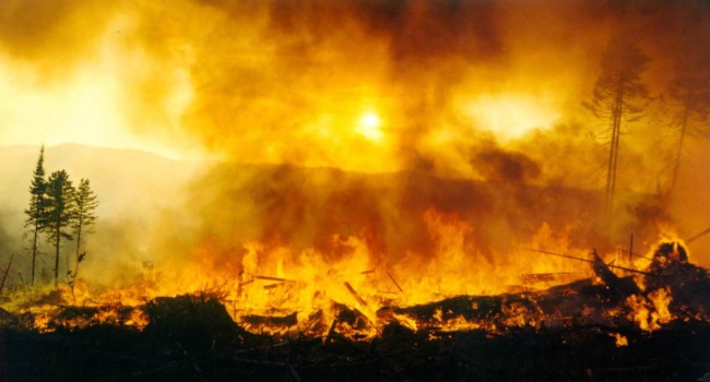 У Чернігівській області на військовому полігоні сталася пожежа