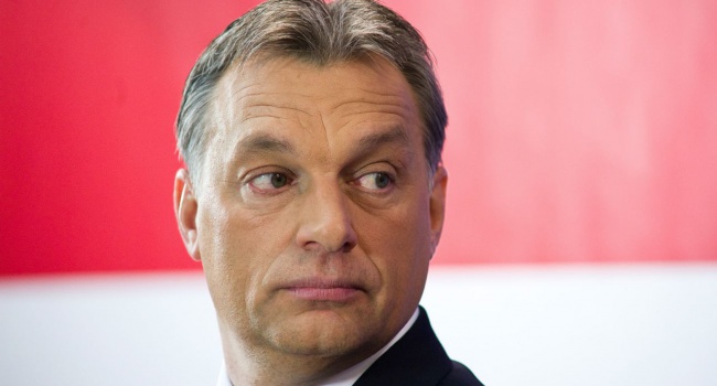 Премьер Венгрии: Трамп – это лучшее, что может случиться с Европой