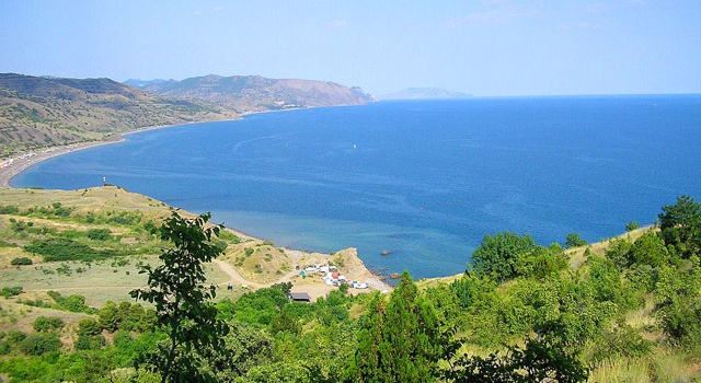 На дне Черного моря ученые обнаружили живые организмы