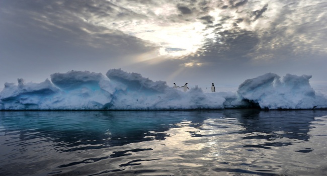 Озоновая дыра над Антарктидой уменьшилась за пять лет