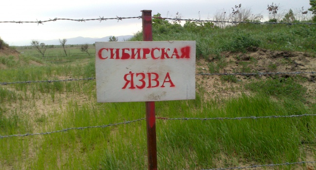 В Росії спалах сибірки