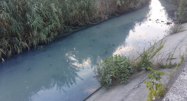 В Феодосии продолжается «канализационная травля» горожан и туристов