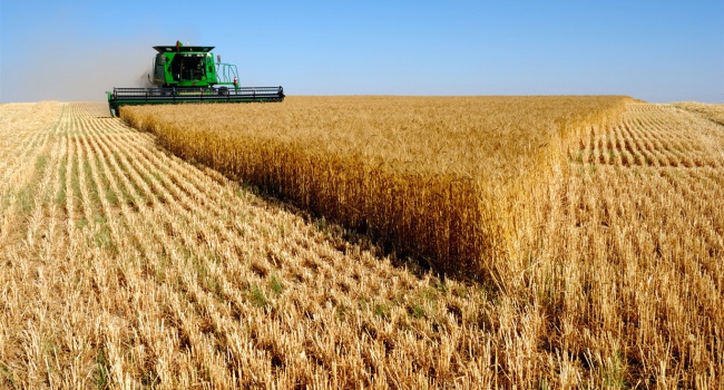 Индонезия заинтересована в поставках украинских зерновых, масла и крахмала