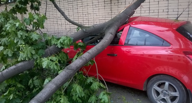 В Киеве первые пострадавшие от ураганного ветра