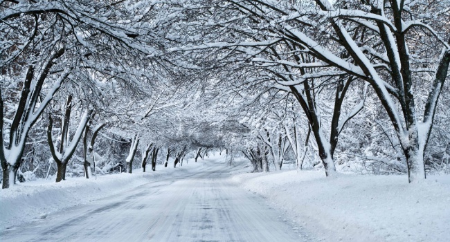 Аномалия в Канаде: в одной из провинций выпал снег