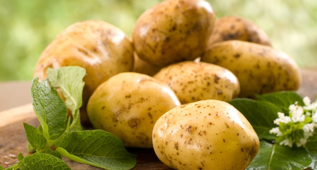Ученые: картофель делает человека умнее