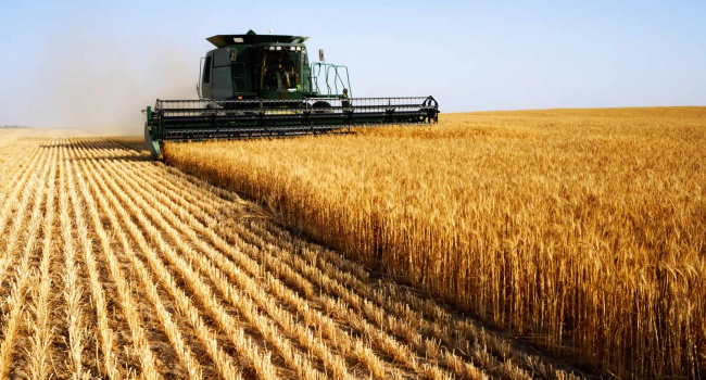 Полтора миллиарда гривен выделено на поддержку украинских аграриев