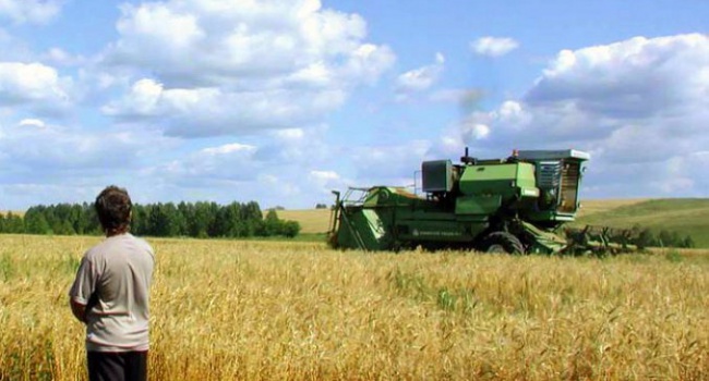 Аграрии Украины дождались инвестиций из Южной Кореи