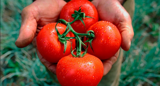 В западных регионах начали резко дорожать помидоры