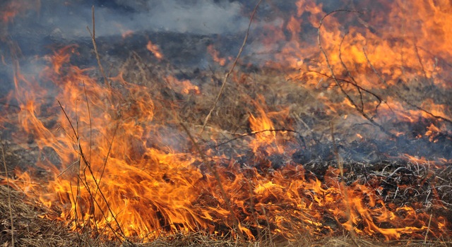 Под Киевом горели торфяники и трава