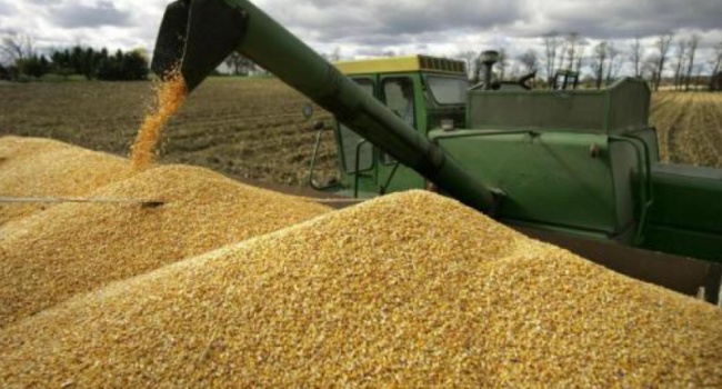 Прогноз по урожаю зерновых в Украине изменился