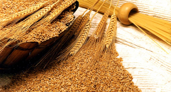 Украинскую пшеницу начнут экспортировать в Индию