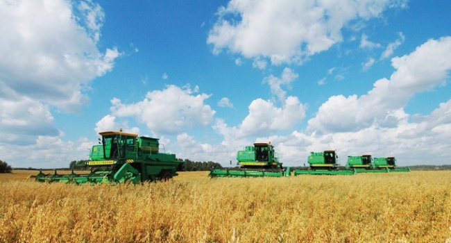 Украинские производители нарастили экспорт агропродукции