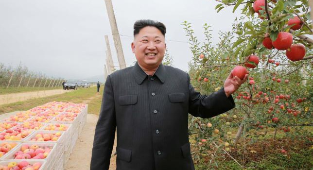 Северная Корея продолжает испытания оружия