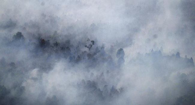 Ядовитый смог из Индонезии убил более полумиллиона человек