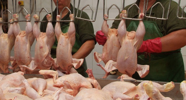 Украинские производители нарастили экспорт мяса птицы