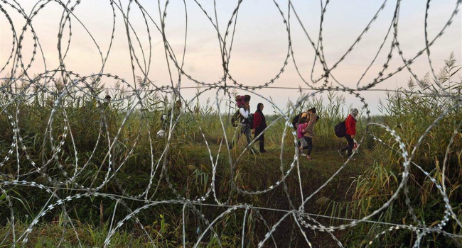 Миграционная политика Венгрии нанесла непоправимый вред окружающей среде - экологи