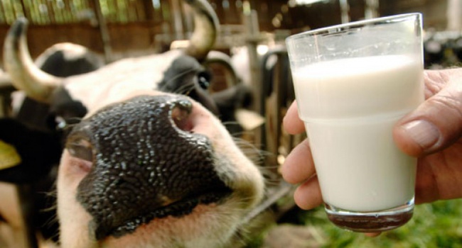В Украине резко снизились продажи молока из-за подорожания