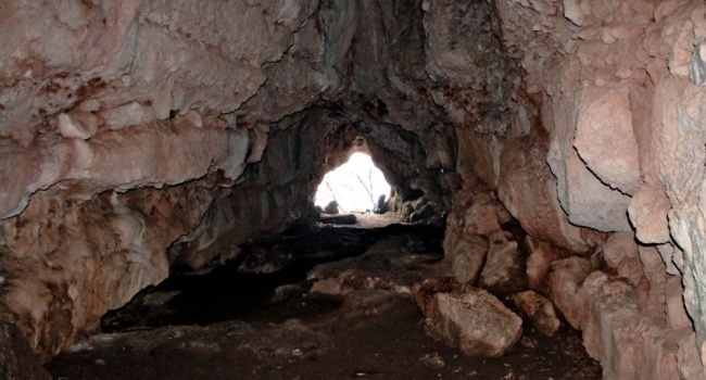 В Житомире нашли древнее подземелье с кладом