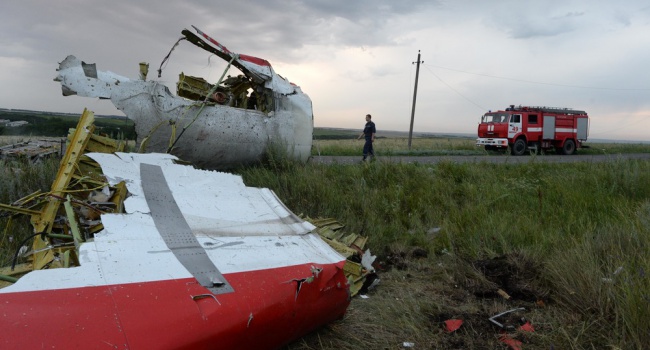 Олещук: авиакатастрофа на Донбассе могла быть не случайностью