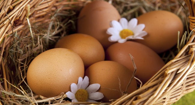 Дієтологи виявили, що яйця рятують від інсульту