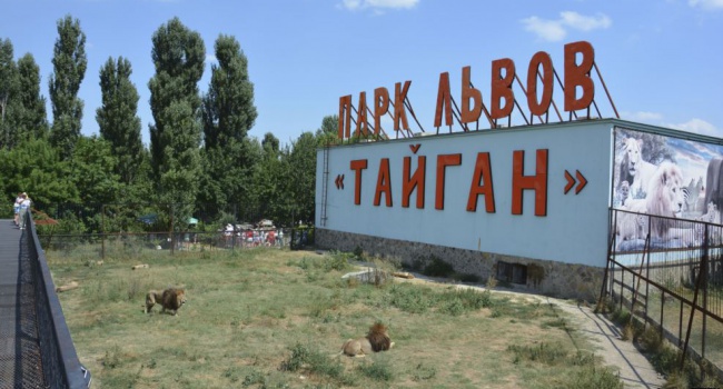 Хозяин ялтинского зоопарка и парка «Тайган» не доволен "русским миром", - блогер