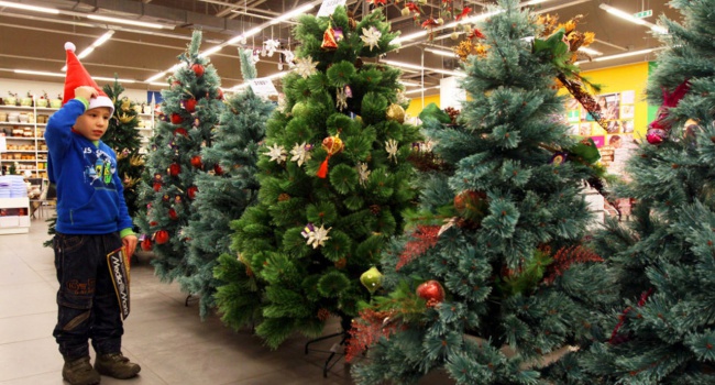 На Новый год украинцы будут покупать елки на «черном рынке»