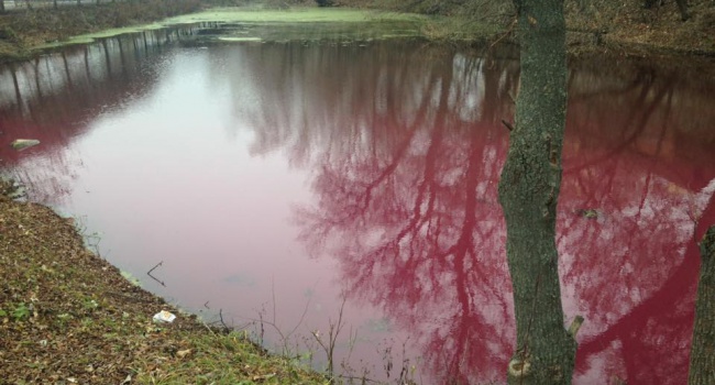 В Сумах появилось ярко-розовое озеро