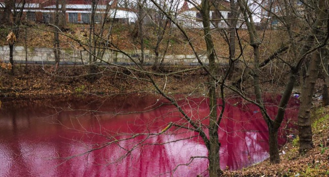 В Сумах появилось ярко-розовое озеро