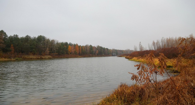 В Киевском водохранилище появятся десятки тысяч мальков В Киевском водохранилище появятся десятки тысяч мальков