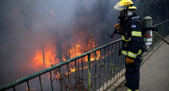 Пожар привел к эвакуации 60 тысяч жителей Хайфы