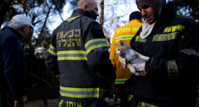 1616 жителей Хайфы остались без крова, пожар в Израиле фоторепортаж