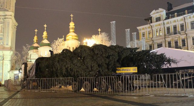 На Софийскую площадь Киева уже доставили главную елку Украины