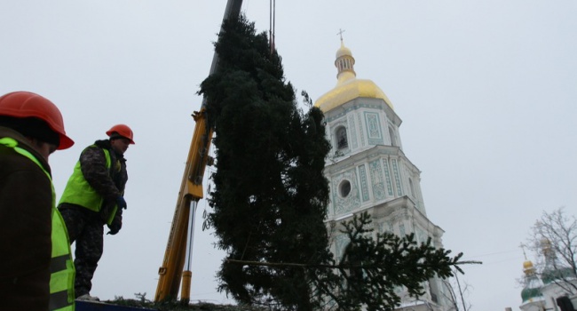 Организаторы сообщили, кто и когда зажжет главную елку Украины