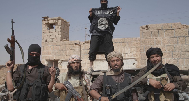 Манн объяснил суть тактики ИГИЛ в Пальмире