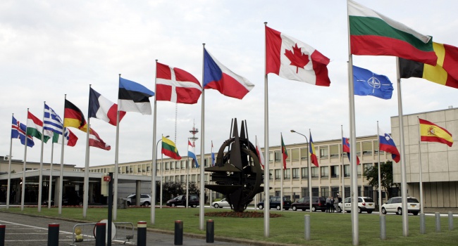 Пономарь: нужно готовиться к вступлению в НАТО