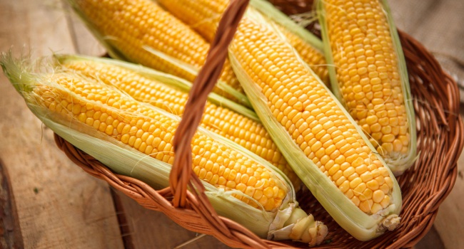 Украинские производители увеличили экспорт кукурузы в 20 раз Украинские производители увеличили экспорт кукурузы в 20 раз