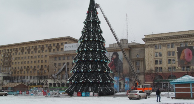 Эксперты назвали город в Украине, где установили самую высокую елку