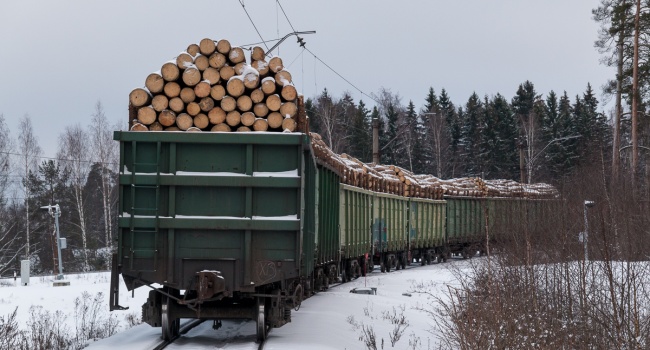 Контрабанда кругляка процветает: с Украины пытались вывезти 29 вагонов леса