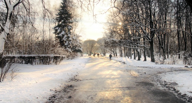 Погода 13 января: в Украину идет оттепель