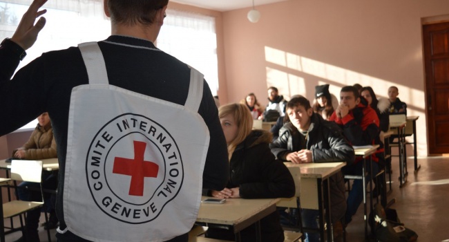 Співробітника Міжнародного комітету Червоного Хреста звільнили після викрадення