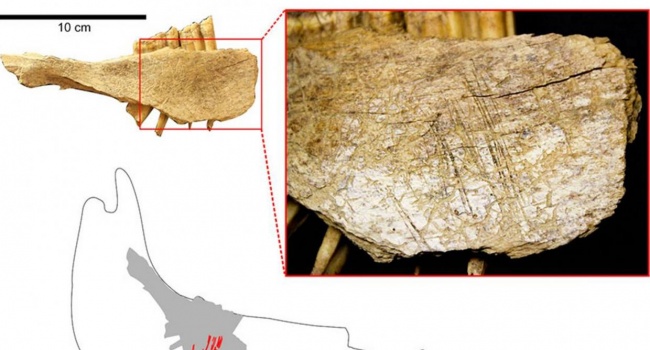 Первые люди появились в Северной Америке на 10 000 лет раньше, чем думали ученые